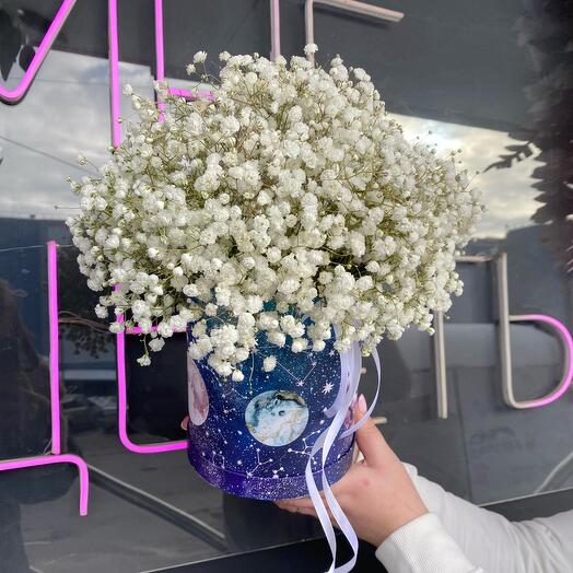 Гипсофила в коробке