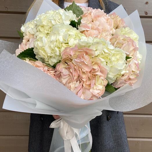 Bouquet of hydrangeas