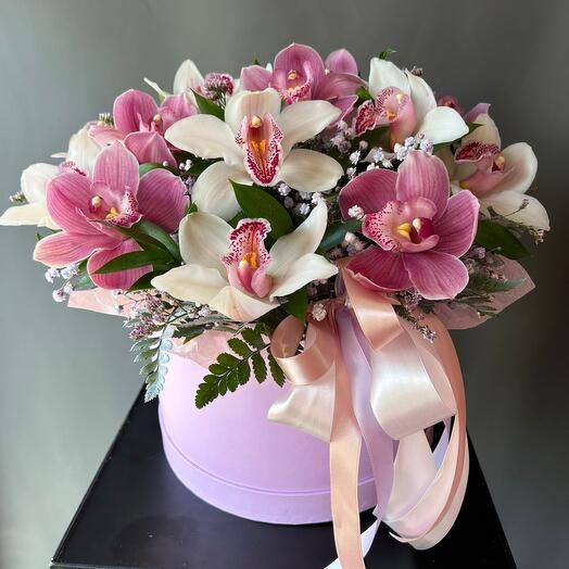 Orquídeas en Caja