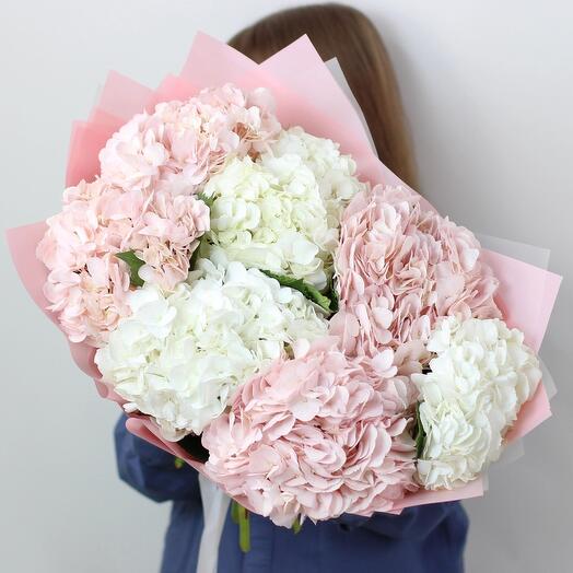 Букет цветов из гортензий, цвет розовый, белый, 7 штук, арт 378 Kimbirly Flowers