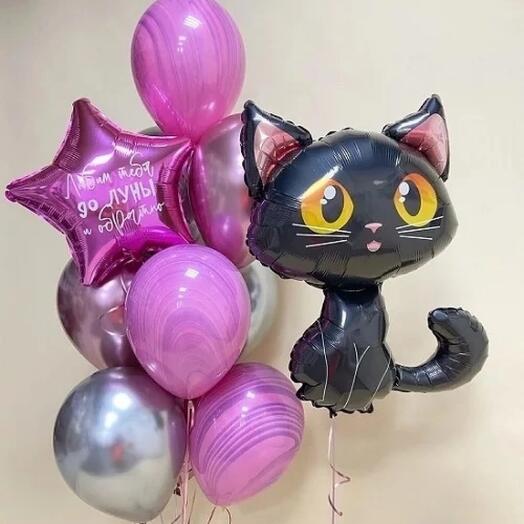 Котик