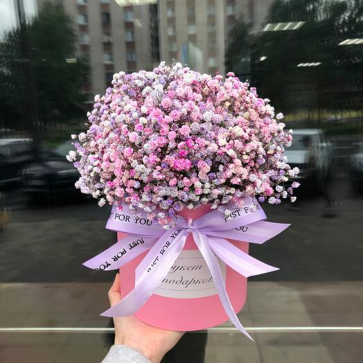 Gypsophila in a hatbox