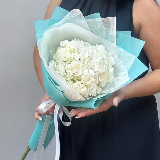 Hydrangea in the design