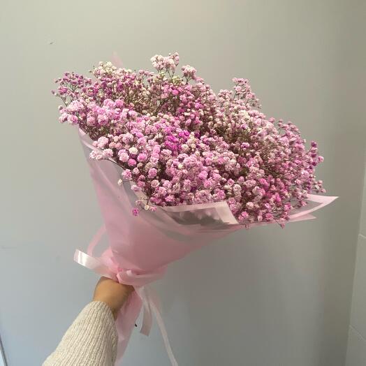 Pink cloud of Gypsophila