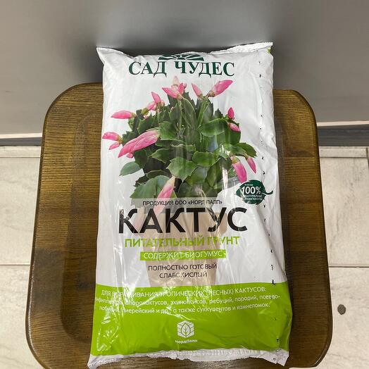 Грунт кактус