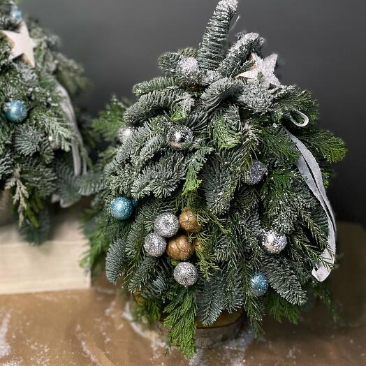 Елочка хвойная М