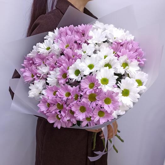 💐Хризантема