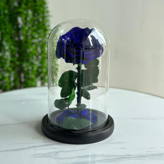 Forever Rose Blue (preserved rose)