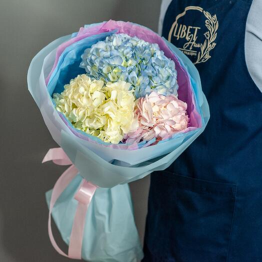 Букет из 3 гортензий в упаковке 1250f