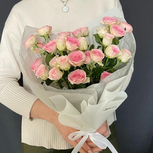 Rosas arbustivas "Ternura"