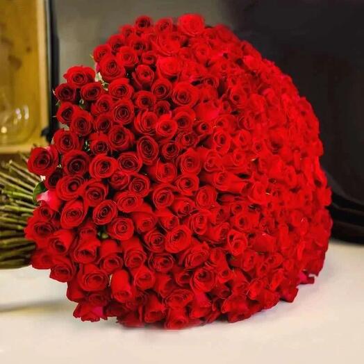 501 Red Rose Bouquet