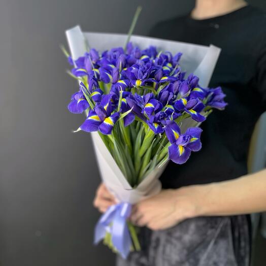 Букет из 31 ириса