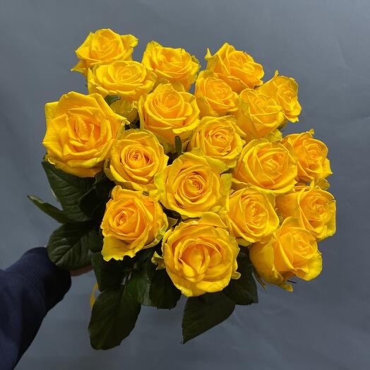 Yellow roses
