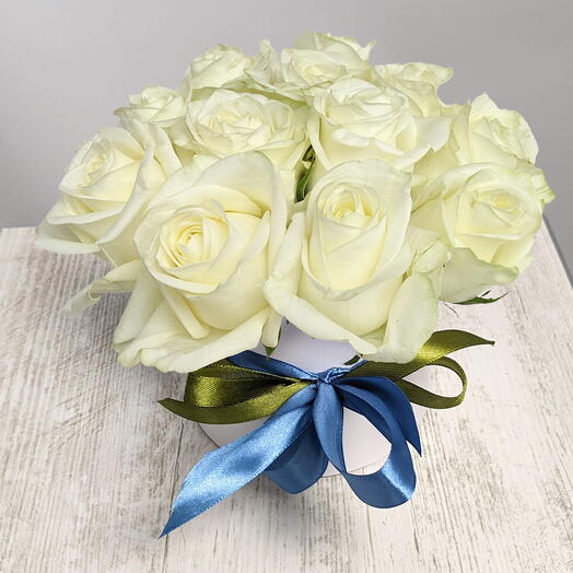 White rose in a box