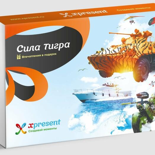 Подарочный набор «Сила тигра» (89 впечатлений на выбор)
