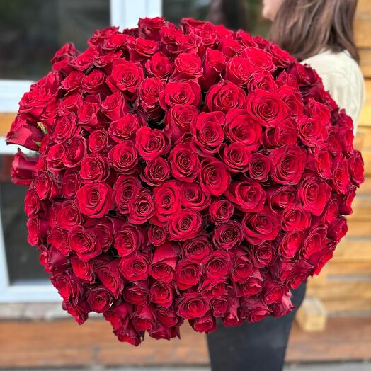 Красная роза 201 шт Люкс 🌹