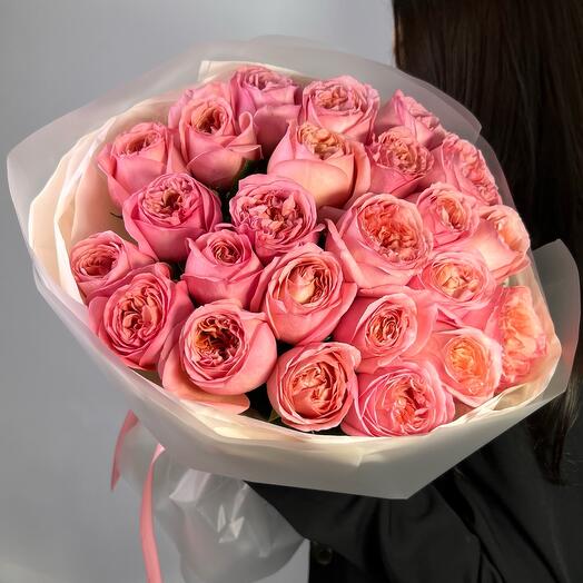 25 coral peony roses PINK XPRESSION