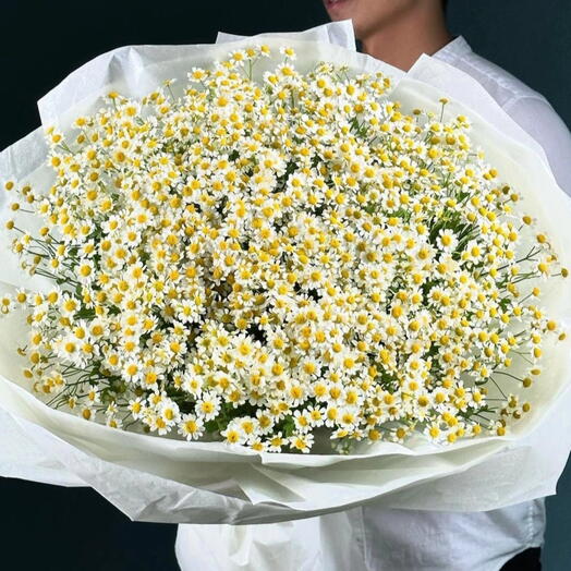 Букет кустовых ромашек