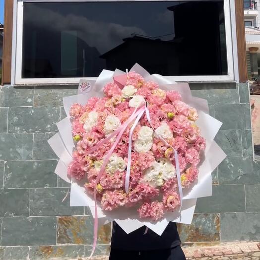 Pink and white lisianthus