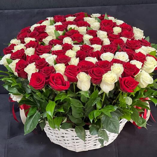 151 white and red rose in basket