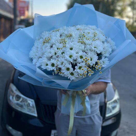 Ромашковое поле