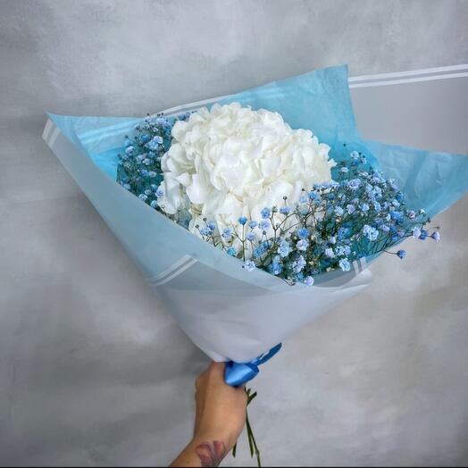 Букет Белая гортензия