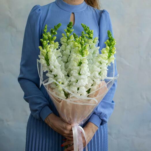 White Antirrhinum Bouquet