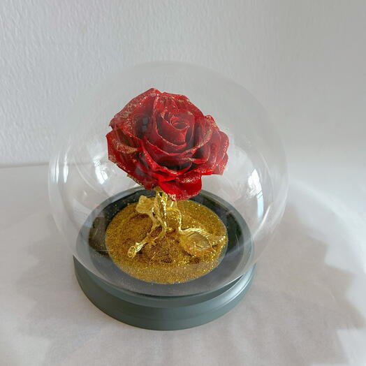 Preserved rose glass dome