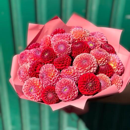 Ramo de Dalias mezcla rosa y Burdeos 19PCS