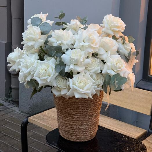 French Roses Playa Blanca in basket size L