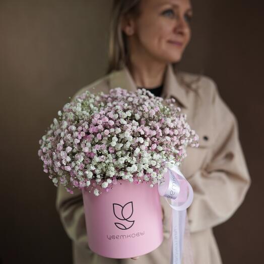 Коробка из розовой гипсофилы