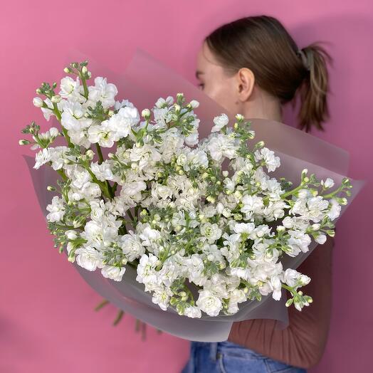 Белая маттиола 15 шт