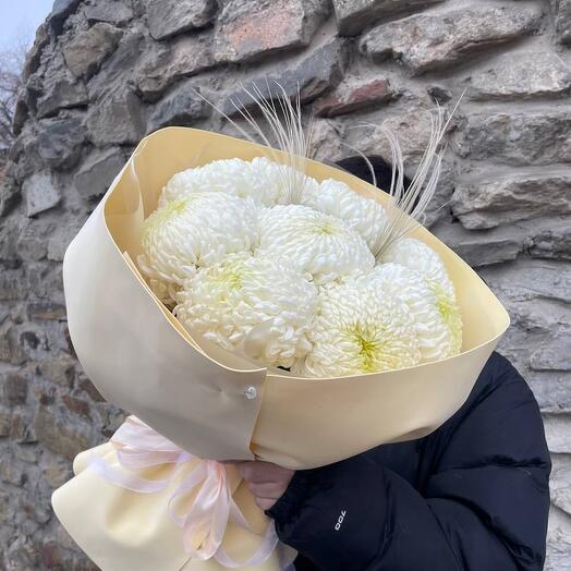 _Нежное облако_