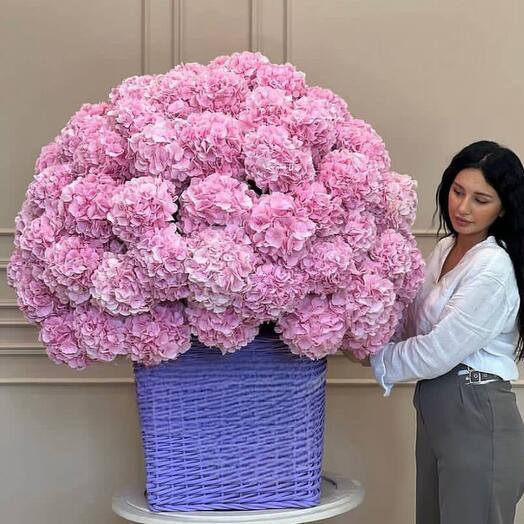 Bouquet of 101 pink hydrangeas in wicker basket