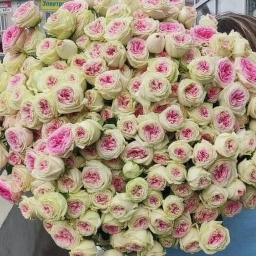 35 кустовых роз Джелато