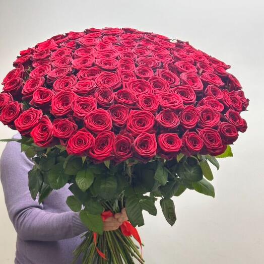 201 Роза голландия