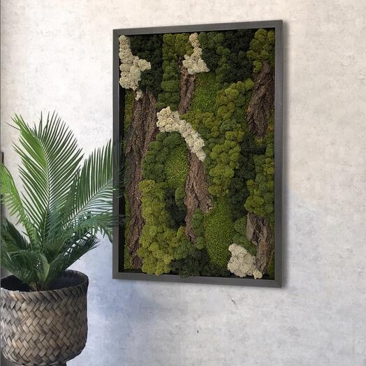 Картина из мха "Wooden Art"  в подарочной упаковке. 50*70. Графит