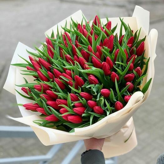 Бордовые тюльпаны