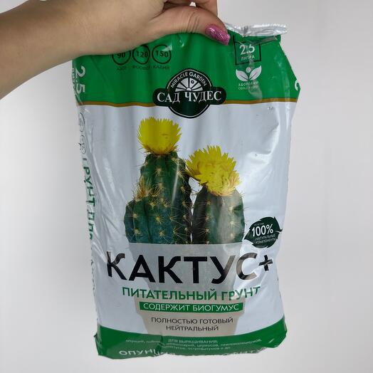 Грунт для Кактусов 2,5л