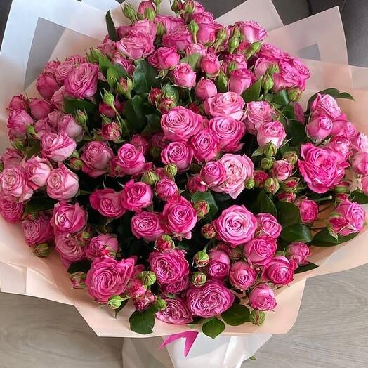 Pink spray roses