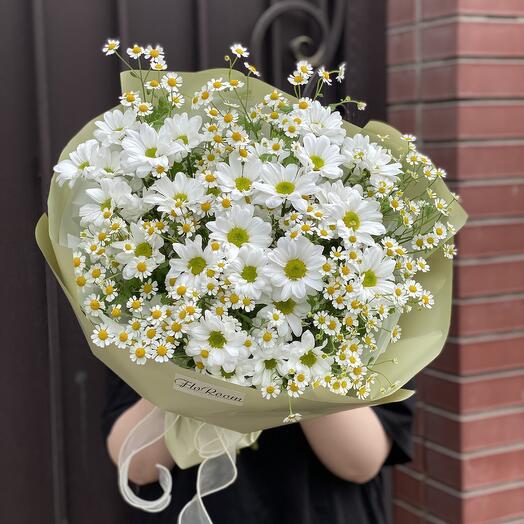 Crisantemo de manzanilla y margaritas de campo 🌼