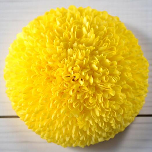 Chrysanthemum Pingpong Yellow – Single Stem | Bright Yellow Ball Chrysanthemum