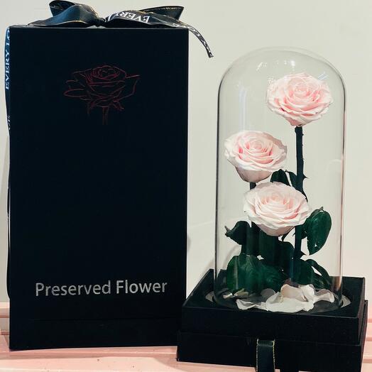 Preserved Pink Rose 3 Stem