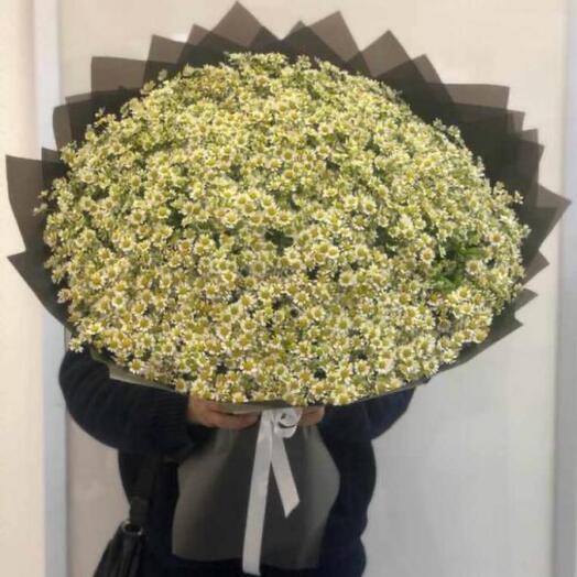 Букет из 101 Ромашек 😍