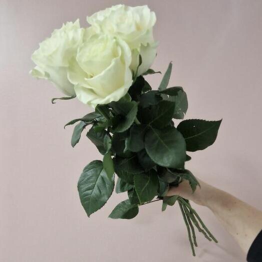 5 premium roses