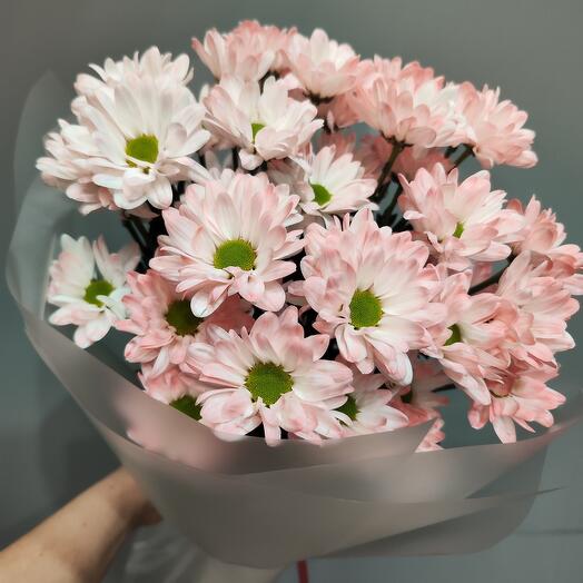 ~51 персиковая ромашка