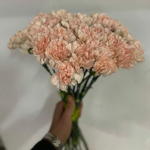 25 нежных гвоздик