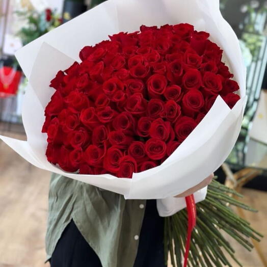 Redd rossess