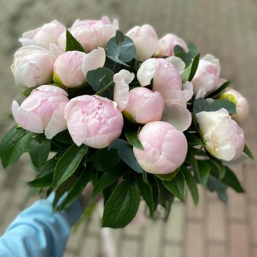 Нежные пионы с эвкалиптом