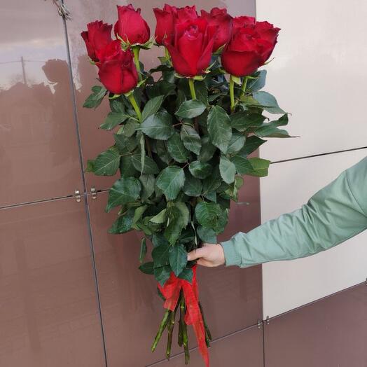 9 высоких роз